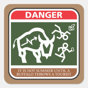 Buffalo Summer Square Sticker