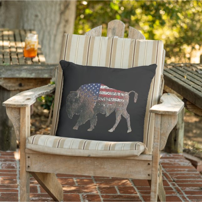 Buffalo - Talking Canyons, New Mexico Cushion (Chair)