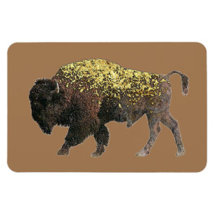 Buffalo - Talking Canyons, New Mexico Magnet