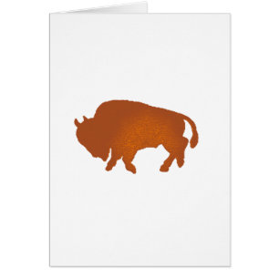 Buffalo Terra