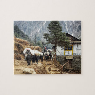 Buffalo transport, Everest trail views - Nepal Jigsaw Puzzle