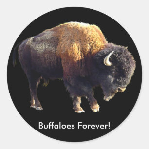Buffaloes Forever! Bison Lover Art Stickers
