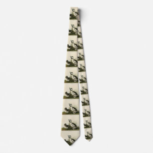 Buffel-headed Duck from Audubon's Birds of America Tie