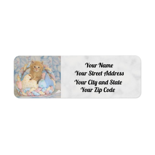 Buffington's Easter  Address Labels - Cat / Kitten (Front)