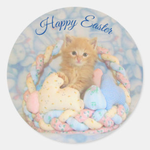 Buffington's Easter Basket - Cat / Kitten Stickers