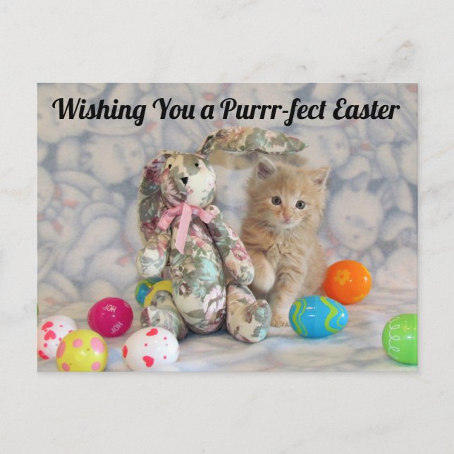 Buffington's Easter Bunny - Cat / Kitten Postcard (Front)