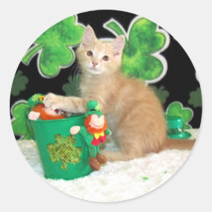 Buffington's St. Patrick's Day Cat / Kitten Classic Round Sticker
