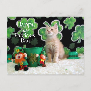 Buffington's St. Patrick's Day Cat / Kitten  Postcard