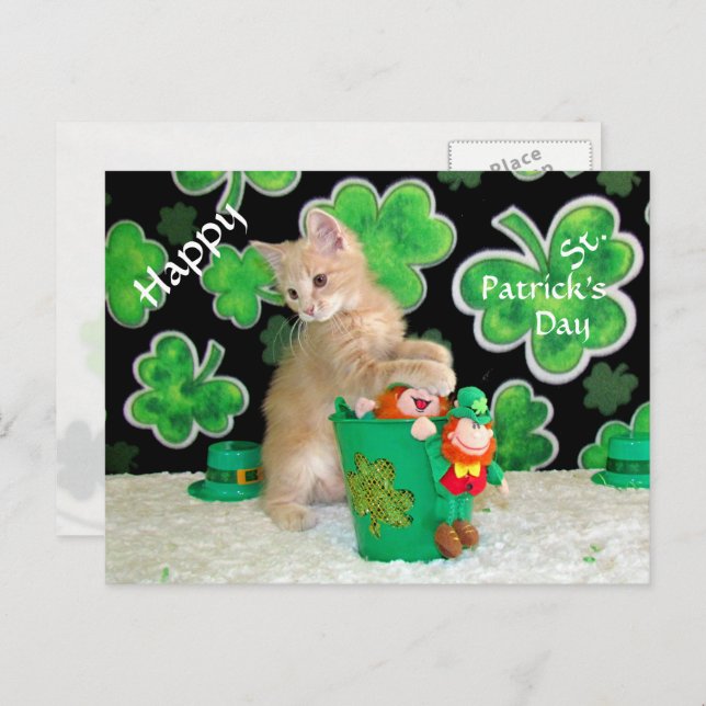 Buffington's St. Patrick's Day Postcard - Cat (Front/Back)