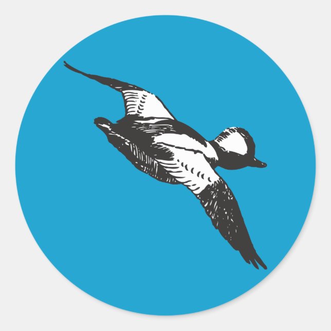 Bufflehead Sketch Classic Round Sticker (Front)