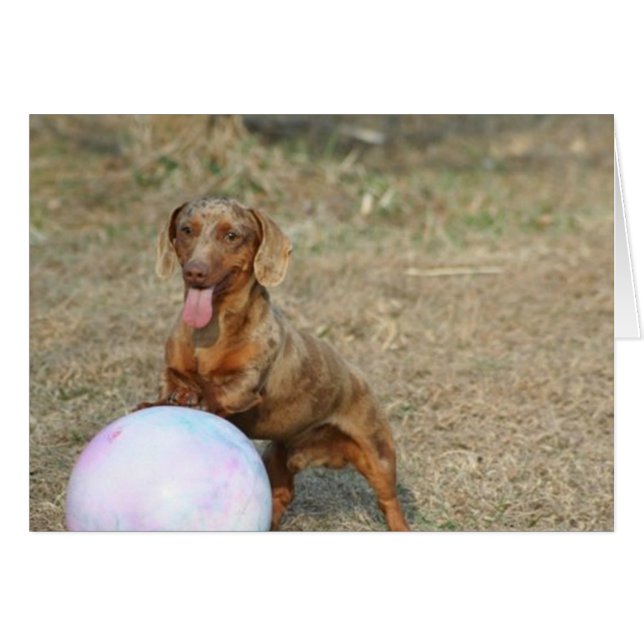 Buford 1 (Front Horizontal)