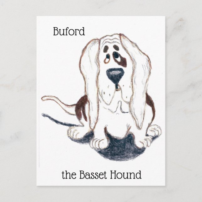 Buford the basset hound postcard (Front)