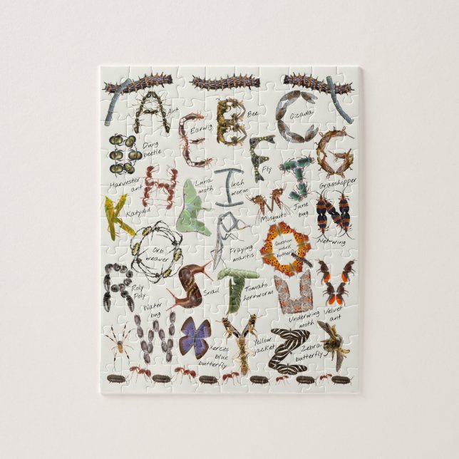 Bug Alphabet Puzzle \ Insect ABCs (Vertical)