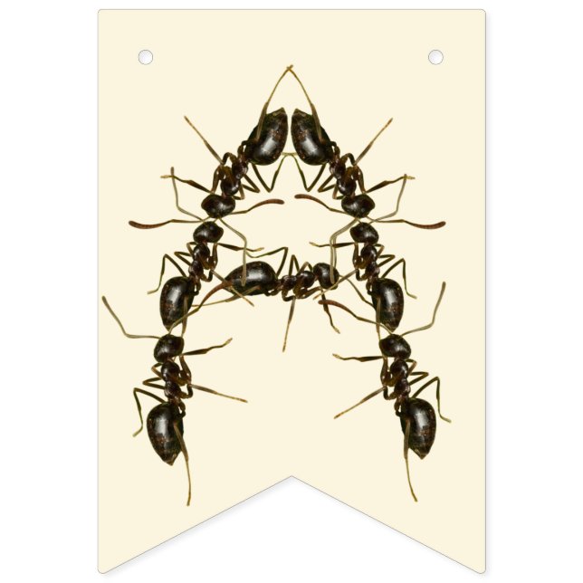Bug Birthday - Insect Birthday  Bunting (Third Flag)