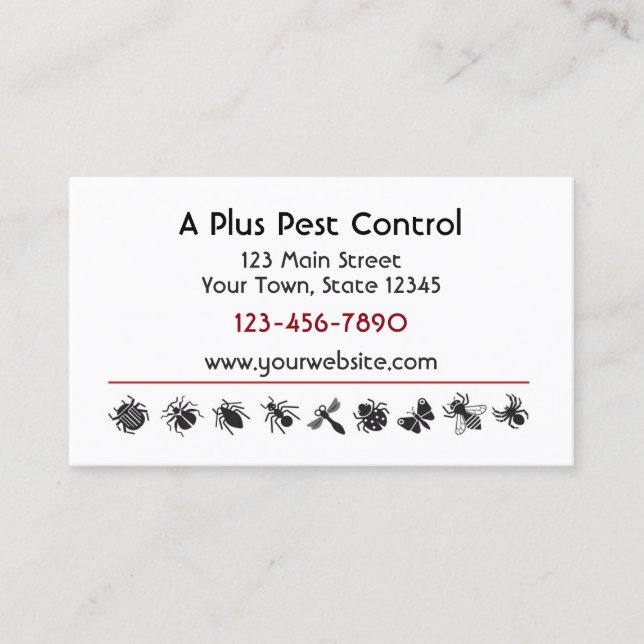 Bug Border, Pest Control Business Card (Front)