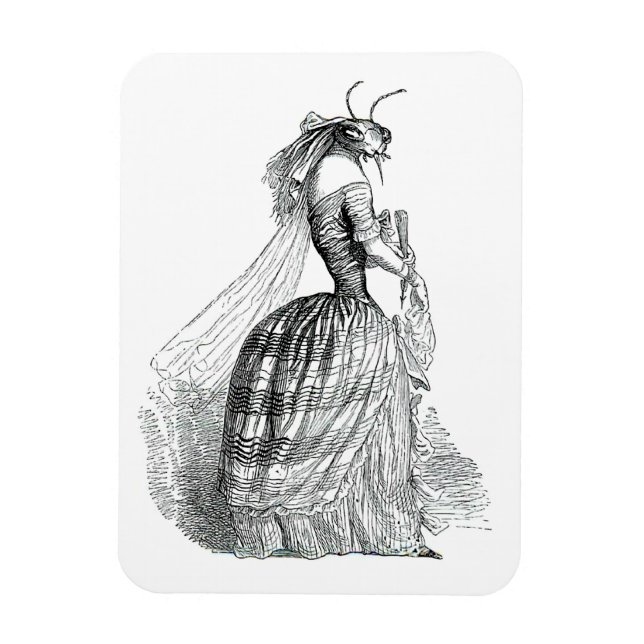 Bug Bustle Magnet (Vertical)