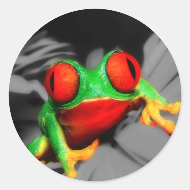 Bug-Eyed Frog Classic Round Sticker (Front)