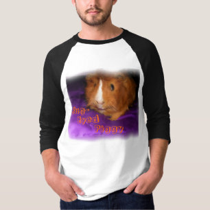 Bug-Eyed Piggy Guinea Pig Shirts