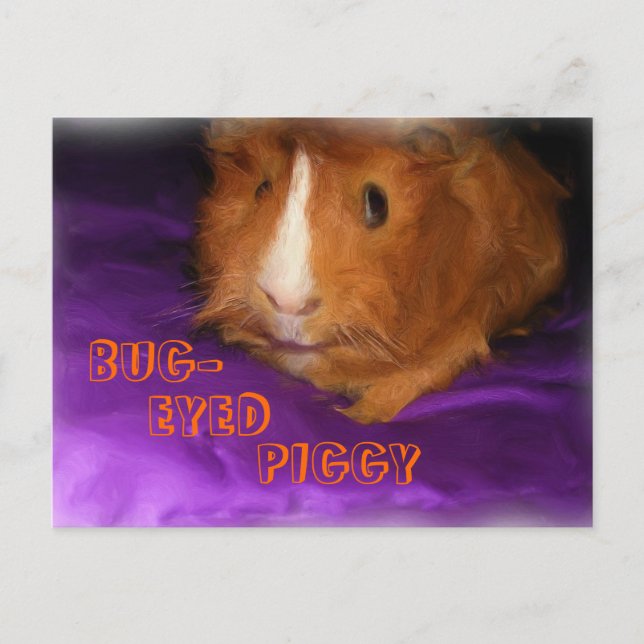 BUG-EYED PIGGY Postcard (Front)