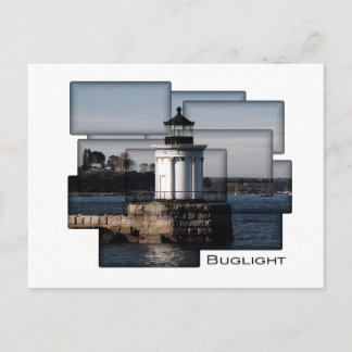 Bug Light Painting Postcard