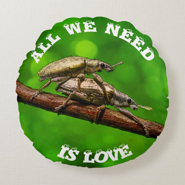 Bug Lovers On The Branch Funny Round Cushion (Front)