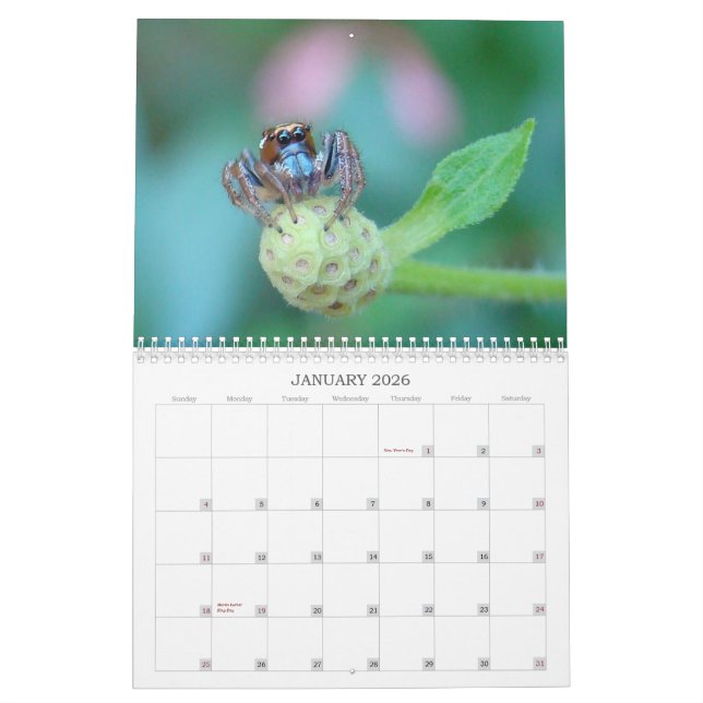 Bug Me! Calendar (Jan 2026)