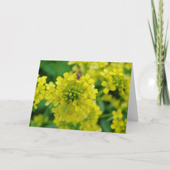 Bug on Flower Card (Front)