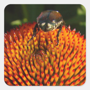 Bug on Flower Square Sticker