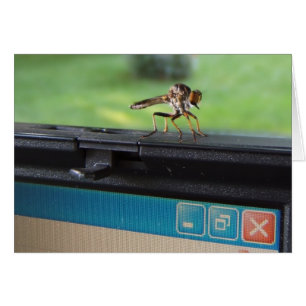 Bug on System ~ card