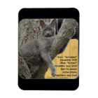 Bugger Baby 1997 to 2015