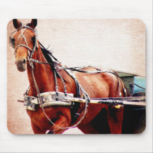 Buggy Horse Mouse Pad