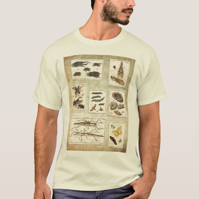 Buggy T-shirt - scientific Illustrations (Front)