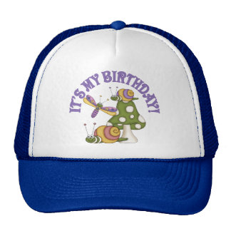 Adult Birthday Hats 42