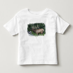 Bugling elk in Banff National Park, Canada. Toddler T-Shirt