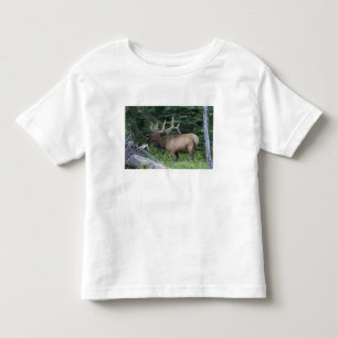 Bugling elk in Banff National Park, Canada. Toddler T-Shirt