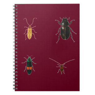 Bugs 2011 notebook