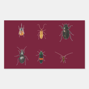 Bugs 2011 rectangular sticker