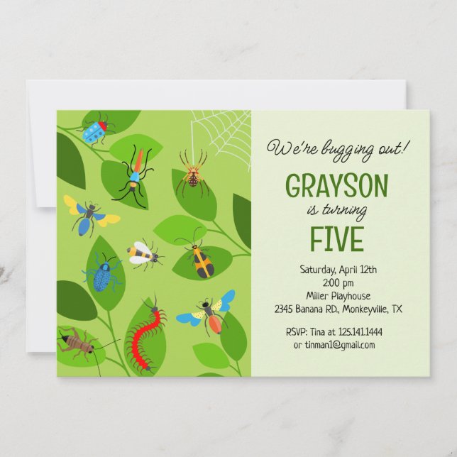 Bugs and Bugs Theme Birthday Party Invitation (Front)