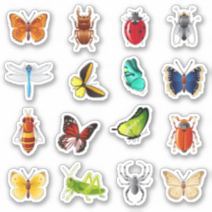 Bugs and butterfly scrapbook