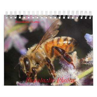 Bugs and Flowers Calendar