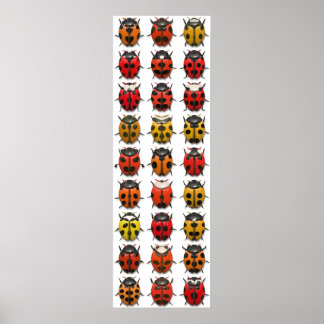 Bugs, Bugs, Bugs - Bugs Pattern Poster