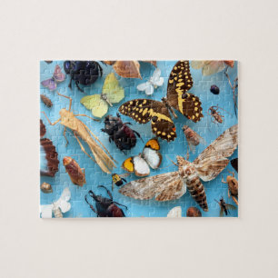 Bugs, Butterflies and Moths Jigsaw Puzzle