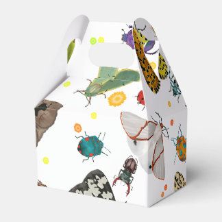 Bugs Favour Box