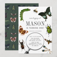 Bugs & Insects Vintage Boy 1st Birthday