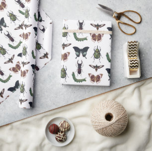 Bugs & Insects Vintage Boy Birthday Wrapping Paper