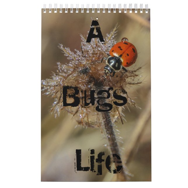 bugs life calendar (Cover)