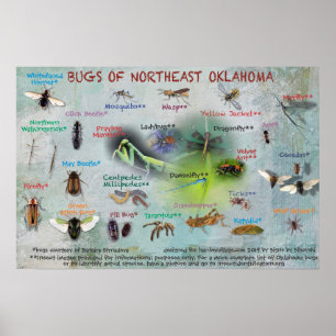 bugs of northeast Oklahoma poster 19