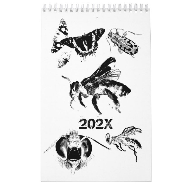 Bugs World - Insects - 2025 Calendar (Cover)