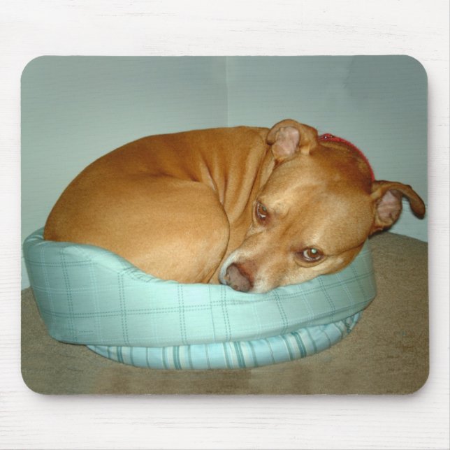 Bugsy Mouse Pad (Front)