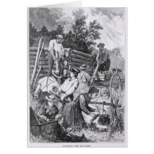 Building the Log-Cabin